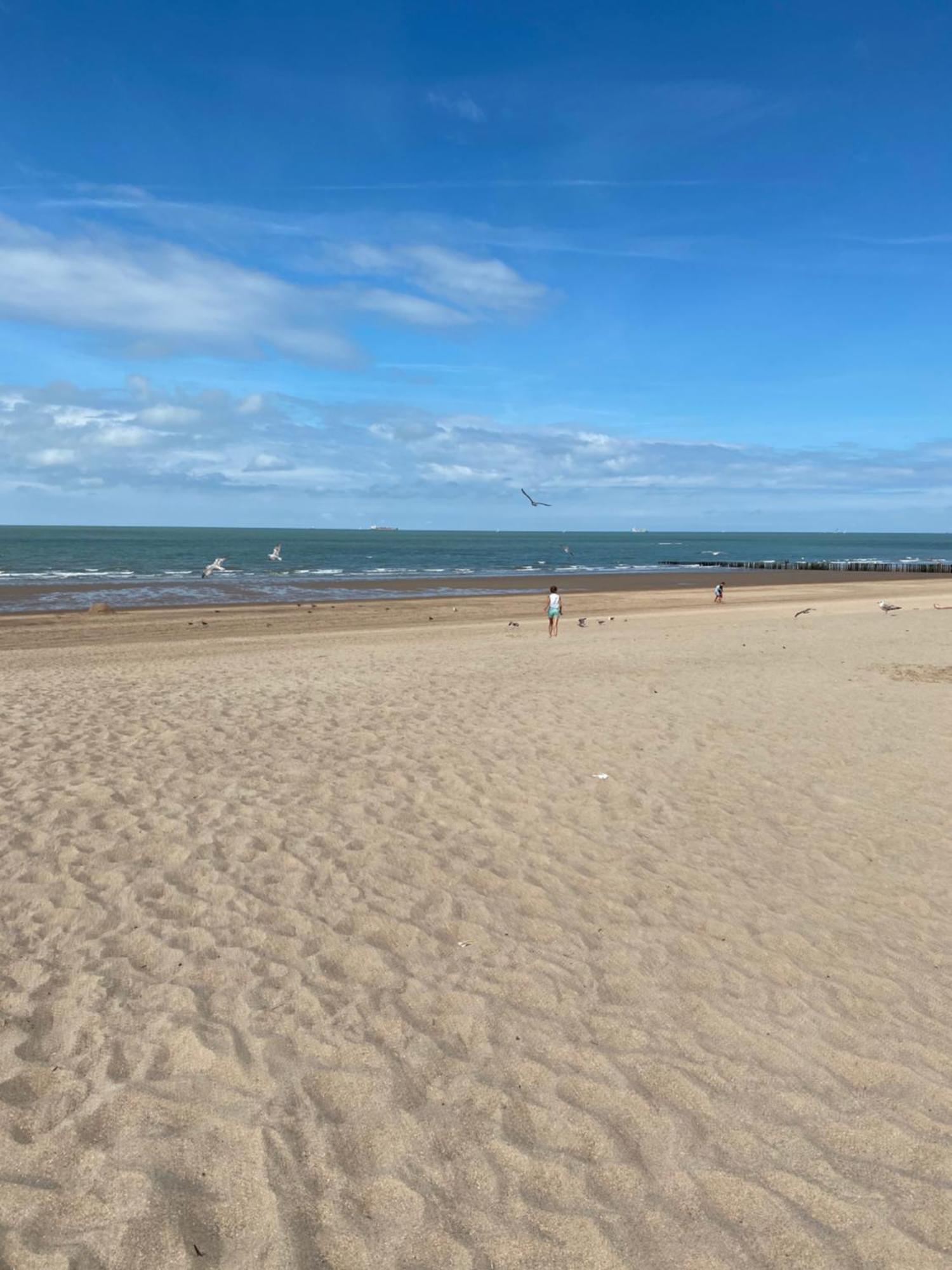 Tof En Ruim Appartement Op 50 Meter Van Strand! Knokke-Heist Exterior foto